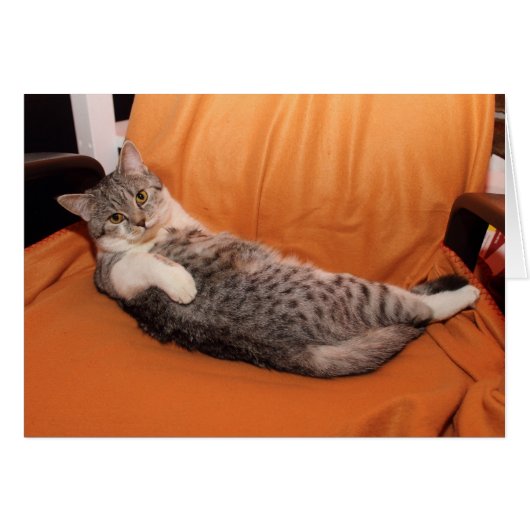 Wat is er? Klaar voor eten? (Voorkant Horizontaal)