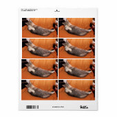 Wat is er? Klaar voor eten? Etiket (Full Sheet)