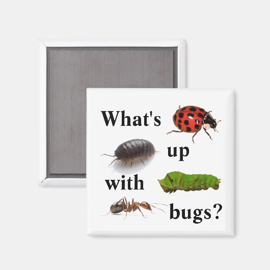 Wat is er met insecten? De magneet (Voorkant / Achterkant)