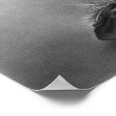 Wat is er nog over van mijn Poster? Poster (Hoek)