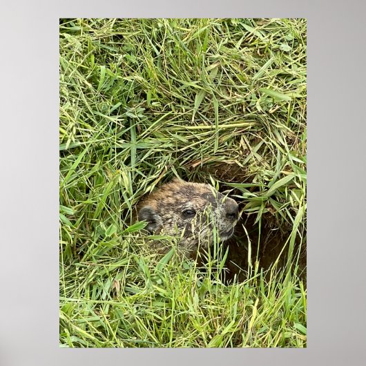 Wat is er? poster (Voorkant)