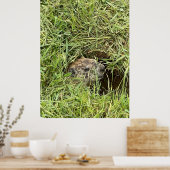 Wat is er? poster (Keuken)