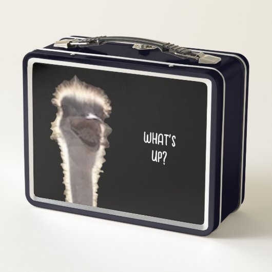 Wat is er? Struisvogelkop, gezicht, lunchboxen (Achterkant)