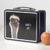 Wat is er? Struisvogelkop, gezicht, lunchboxen (In situ)