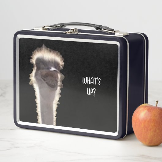 Wat is er? Struisvogelkop, gezicht, lunchboxen (In situ)