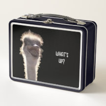 Wat is er? Struisvogelkop, gezicht, lunchboxen