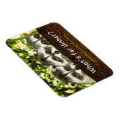 Wat is er te eten? Wasbeer ijskastmagneet. Magneet (Rechterzijde)