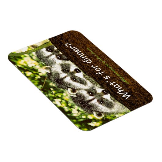 Wat is er te eten? Wasbeer ijskastmagneet. Magneet (Rechterzijde)