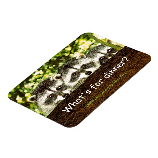 Wat is er te eten? Wasbeer ijskastmagneet. Magneet (Linkerzijde)