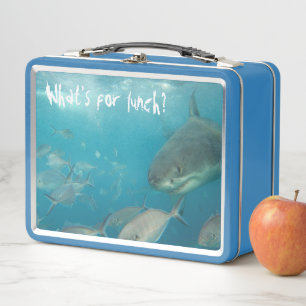 Wat is er voor de lunch? Grappige witte haai