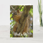 Wat is er, Ya Big Nut Funny Squirrel Kaart (Voorkant)