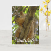 Wat is er, Ya Big Nut Funny Squirrel Kaart (Gele Bloem)