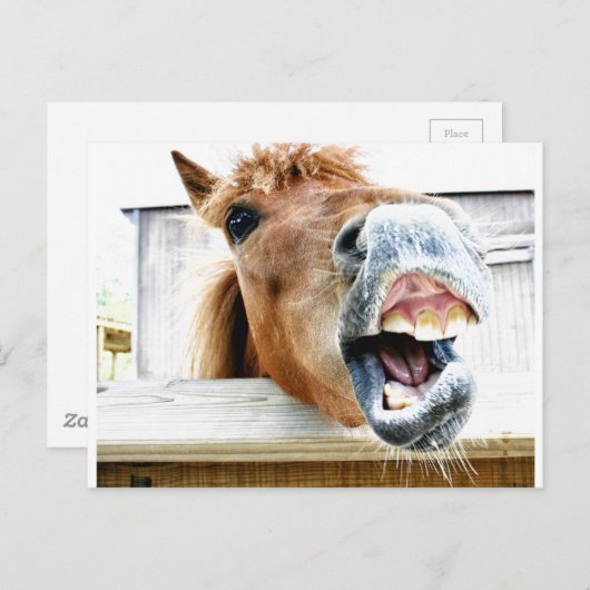 Wat is er zo grappig? briefkaart (Voorkant / Achterkant)