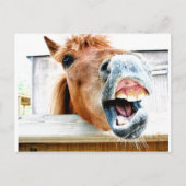 Wat is er zo grappig? briefkaart (Voorkant)