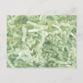 Wat is groen gekreukeld versnipperd papier foto briefkaart (Achterkant)