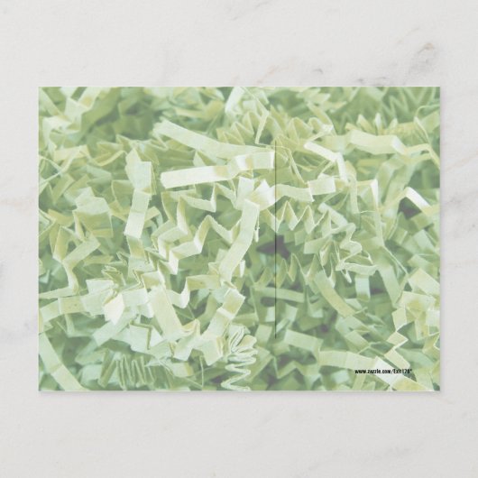 Wat is groen gekreukeld versnipperd papier foto briefkaart (Achterkant)