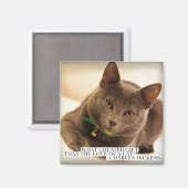 Wat is Grotere Gift dan de liefde van een kat? Magneet (Voorkant / Achterkant)