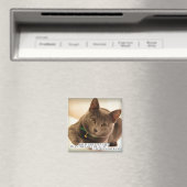 Wat is Grotere Gift dan de liefde van een kat? Magneet (Insitu (Vaatwasser))