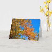 Wat is Herfst Kaart (Gele Bloem)