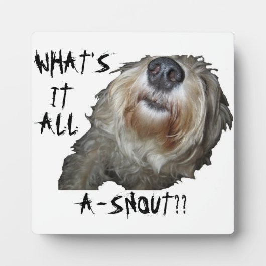 "WAT IS HET ALLEMAAL EEN SNOUT?" Fotoplaat (Voorkant)
