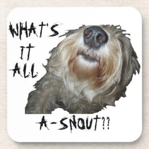 "WAT IS HET ALLEMAAL EEN SNOUT?" Onderzetters - se