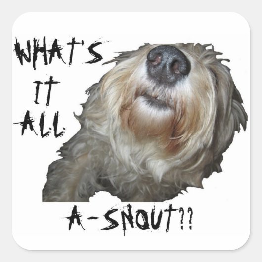 "WAT IS HET ALLEMAAL EEN SNOUT?" Stickers - set va (Voorkant)