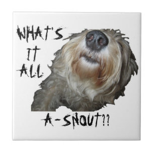 "WAT IS HET ALLEMAAL EEN SNOUT?" Tegel Tegeltje