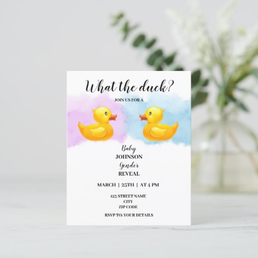 Wat is het geslacht van de eend? (Staand voorkant)