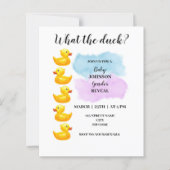 Wat is het geslacht van de eenden? (Voorkant)