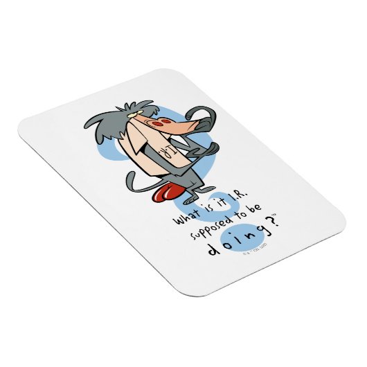 Wat is het I.R. dat moet doen?™ Magneet (Rechterzijde)