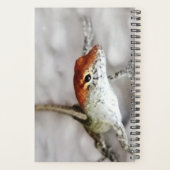 Wat is het plan Redhead Anole Lizard Fun Planner (Achterkant)