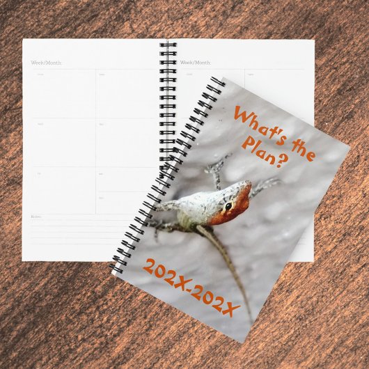 Wat is het plan Redhead Anole Lizard Fun Planner