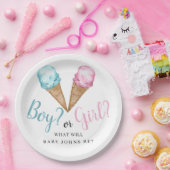 Wat is het sekseonderzoek van de scoop? papieren bordje (Feest)