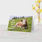 WAT IS HET WAARSCHIJNLIJK TE DRAAIEN **70** VRAAGT KAART (Gele Bloem)