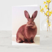 "Wat is hoppenine?" Kaart (Gele Bloem)