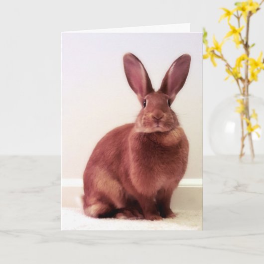 "Wat is hoppenine?" Kaart (Gele Bloem)