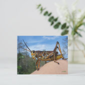 Wat is Hoppin? Briefkaart (Staand voorkant)