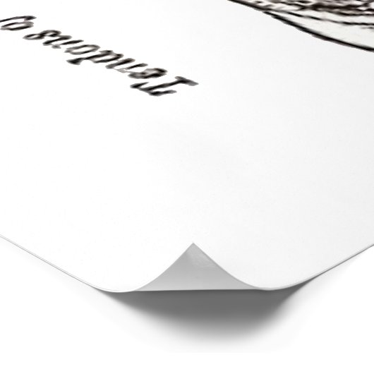 Wat is je achilleshiel? (Hielanatomie) Poster (Hoek)