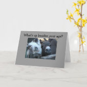 WAT IS JE LEEFTIJD BEST? KAART (Gele Bloem)