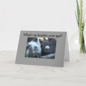 WAT IS JE LEEFTIJD BEST? KAART (Voorkant)