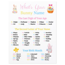 Wat is je naam Bunny spel