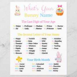 Wat is je naam Bunny spel