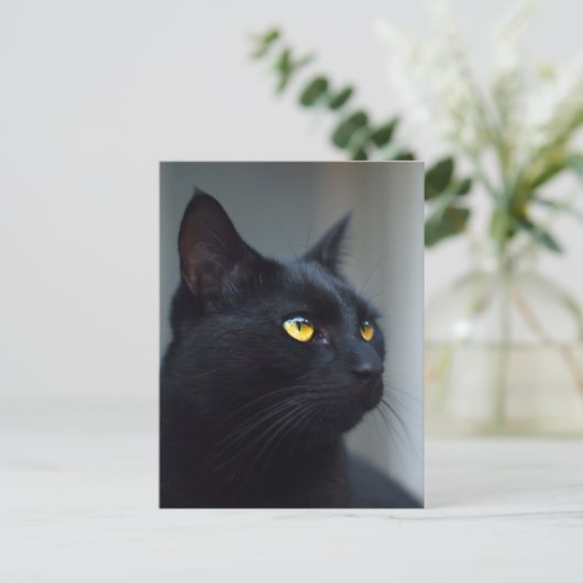 Wat is jouw kat aan het denken briefkaart (Staand voorkant)