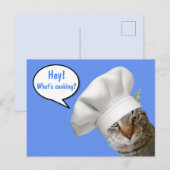 Wat is koken? Chef Cat Briefkaart (Voorkant / Achterkant)