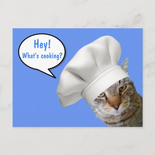 Wat is koken? Chef Cat Briefkaart (Voorkant)