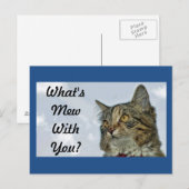 Wat is Mew Cat? Briefkaart (Voorkant / Achterkant)