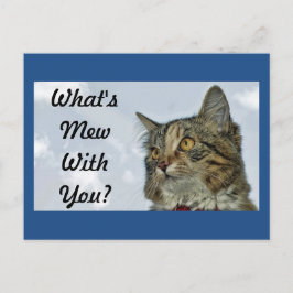 Wat is Mew Cat? Briefkaart