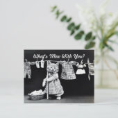 Wat is Mew Kitten? Briefkaart (Staand voorkant)