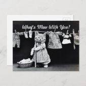 Wat is Mew Kitten? Briefkaart (Voorkant / Achterkant)