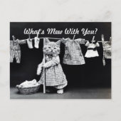 Wat is Mew Kitten? Briefkaart (Voorkant)